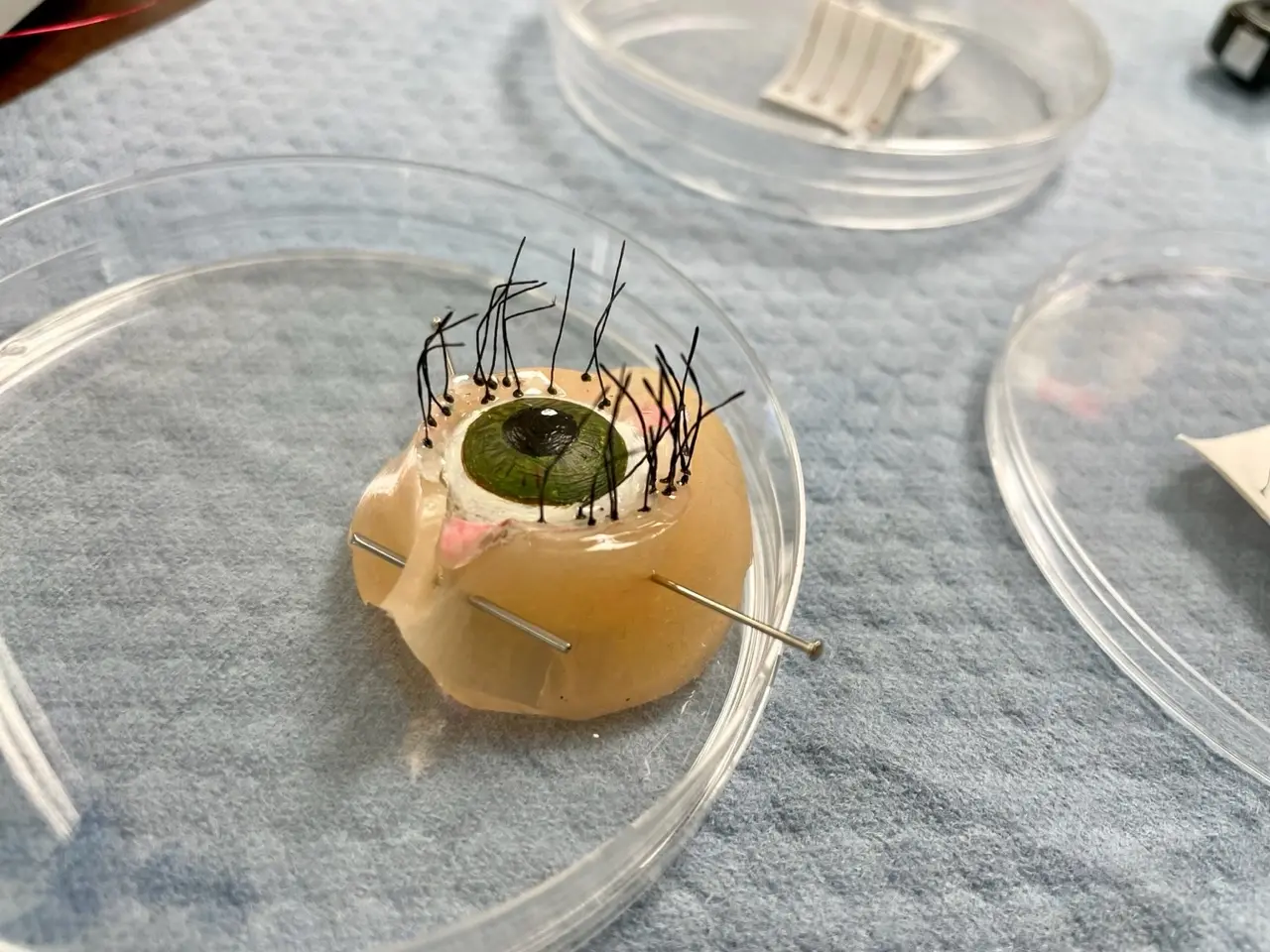 3-D printed eyelash on prosthetic eye