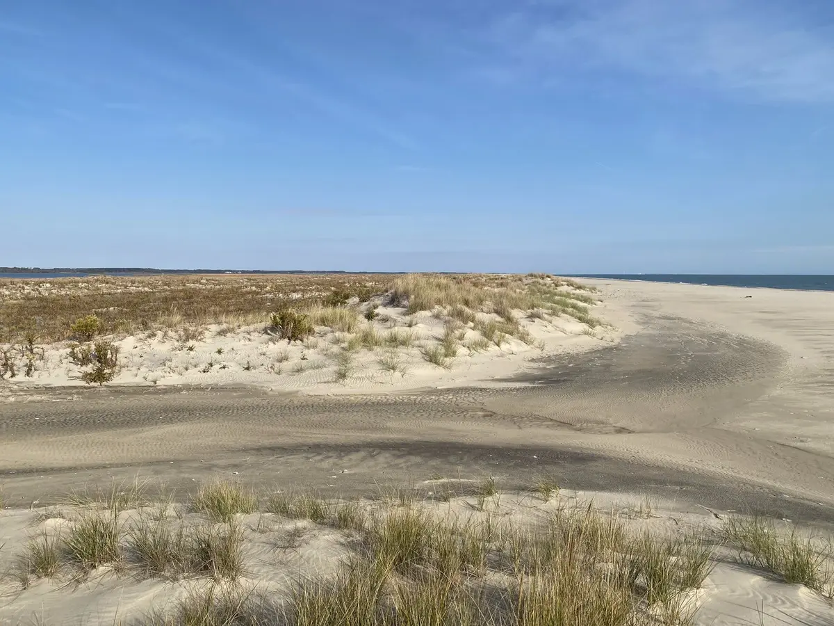 Dune located on Virginia’s Eastern Shore