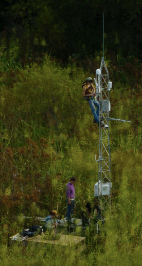 Three people surrounded by grass, one is climbing on a short tower
