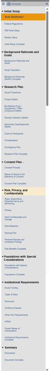 Example RAMS-IRB Smartform fields pre- toolkit